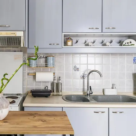 酒店 Fotini 斯科派洛斯